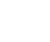 API Key Icon